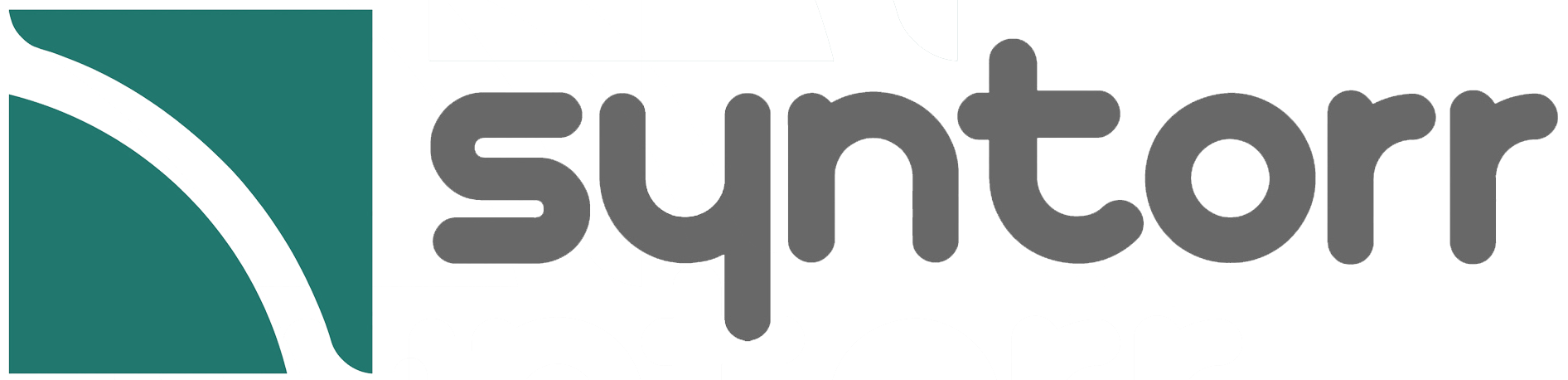 Syntorr Logo